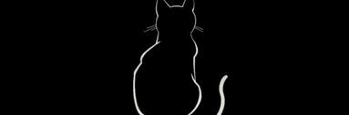 Black Cat Black Cat